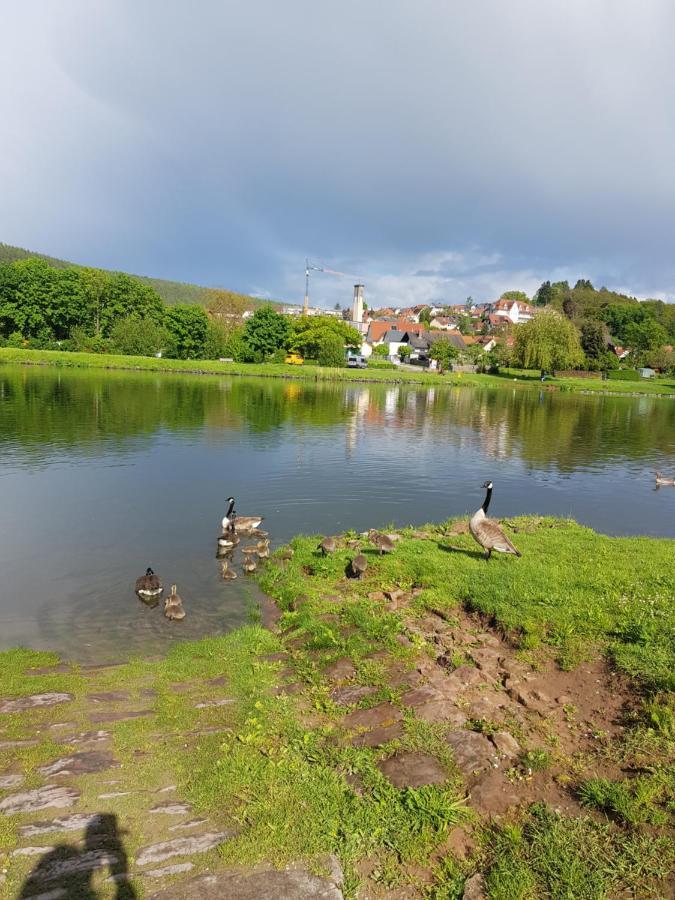 Ferienwohnung Im Springerhof Lohr Exteriér fotografie