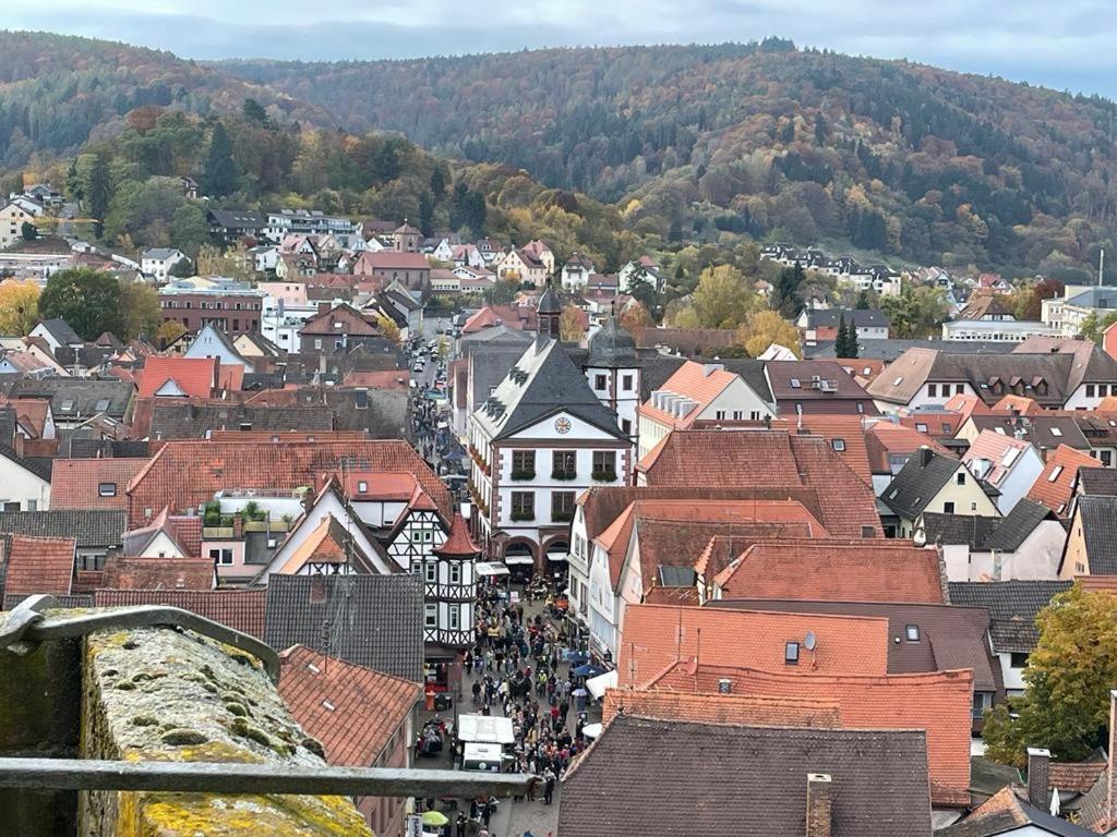 Ferienwohnung Im Springerhof Lohr Exteriér fotografie