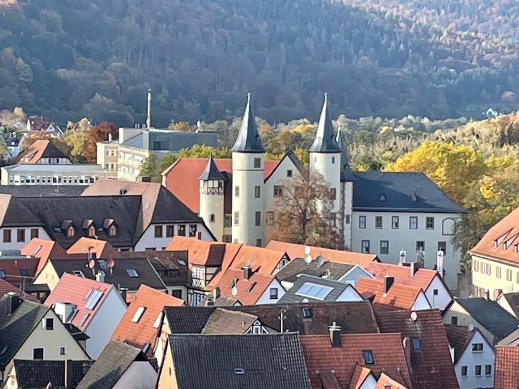 Ferienwohnung Im Springerhof Lohr Exteriér fotografie